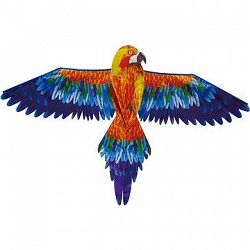 Šarkan – červený papagáj